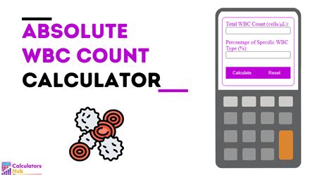 absolute wbc count calculator|absolute phagocyte count calculator.